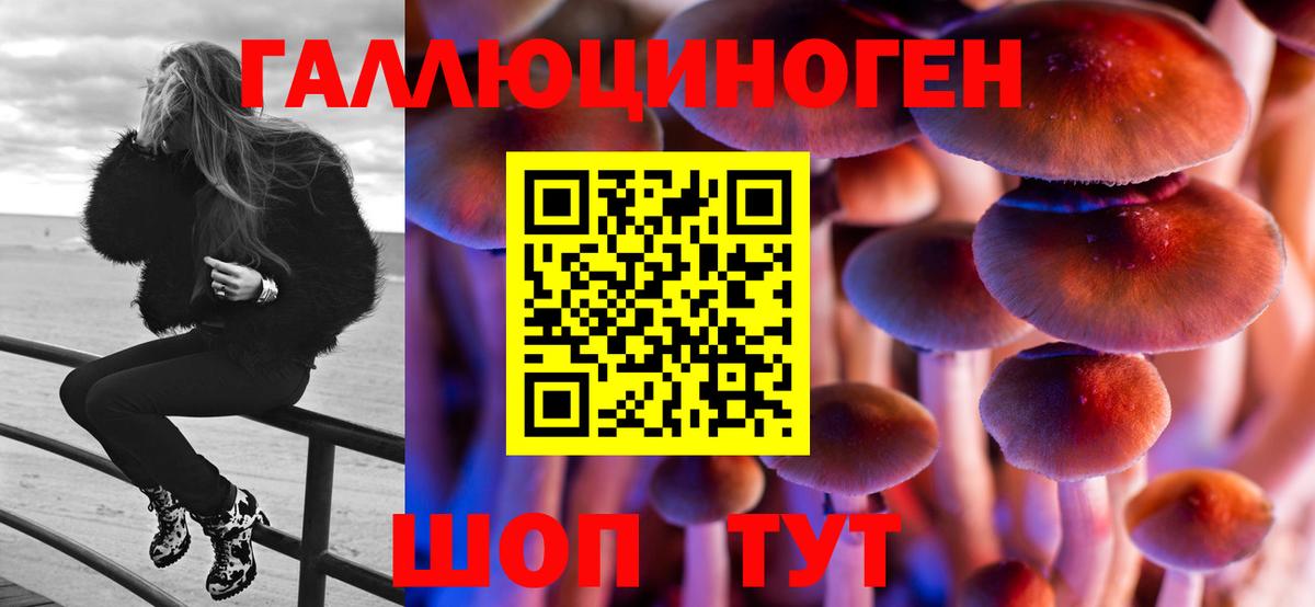 Кимры  Псилоцибиновые грибы GOLDEN TEACHER  наркошоп  Псилоцибиновые грибы мицелий  Вход с VPN 
